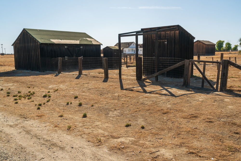 farm house and shed in a field